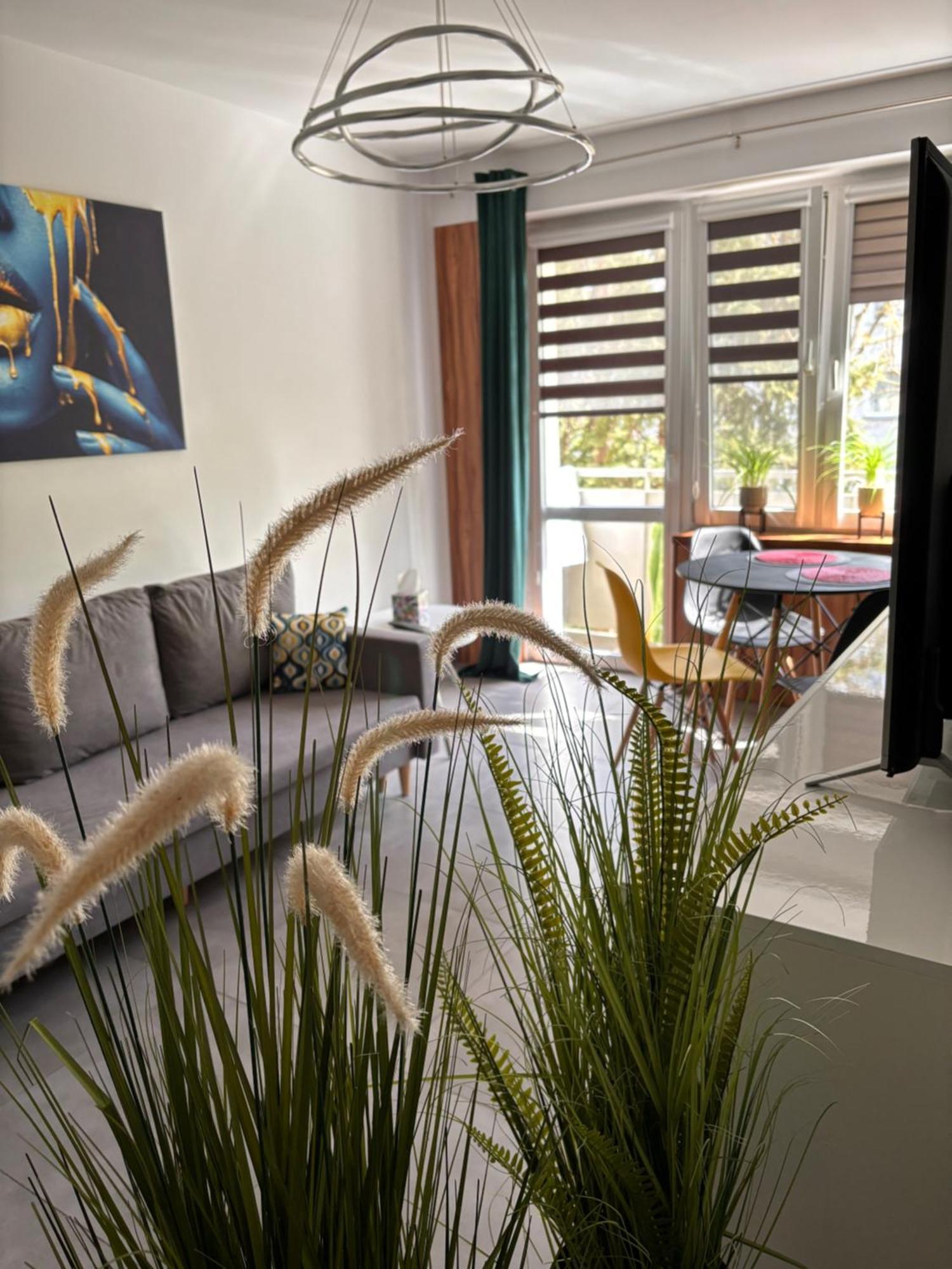 Apartament Teresa Nysa Exteriör bild